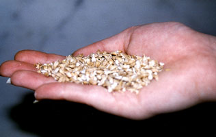 Crushed Grain